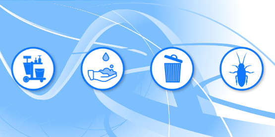SSA Our Services